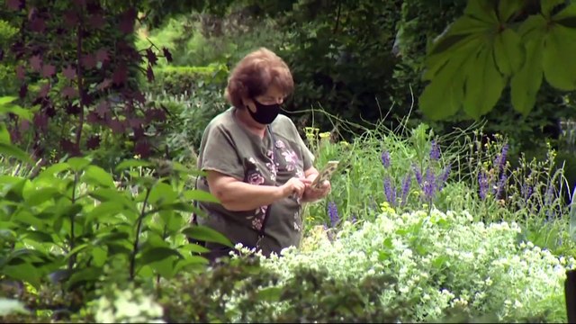 Reabren museos y monumentos, tras implantar los protocolos sanitarios