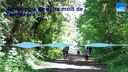 Réouverture de la coulée verte à Auxerre : un air de liberté