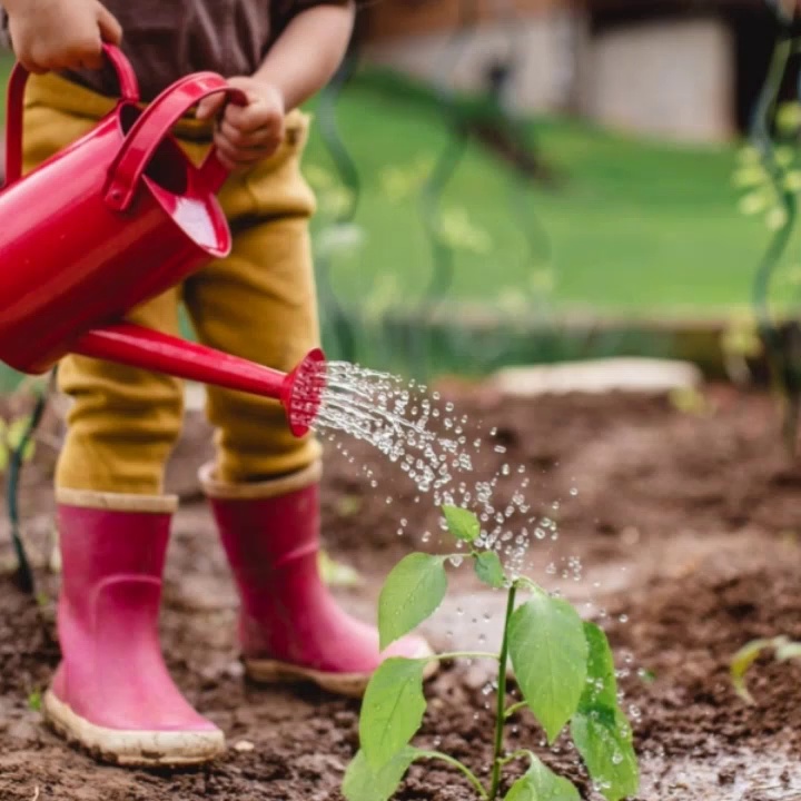 The Best Investment on Earth