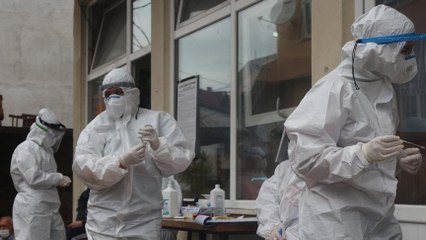 Rize’ye gelen çay üreticilerinin 10’unda virüs tespit edildi