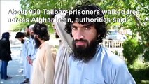 Taliban prisoners freed on last day of Afghan ceasefire