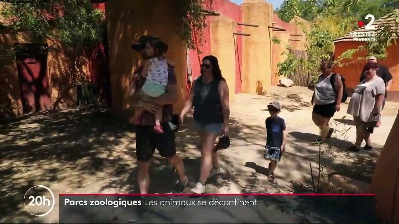 Parcs zoologiques : les animaux se déconfinent