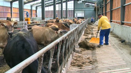 Élan de solidarité pour aider une famille d'agriculteurs de L'Isle-Verte