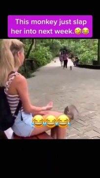 Tiktok Viral Funny videos 2020 latest viral tiktok videos New trend on tiktok