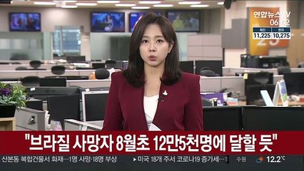 "브라질 사망자 8월 초 12만 5천명에 달할 듯"