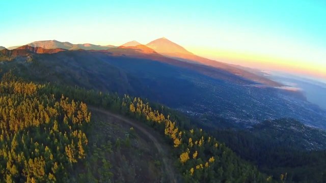 Tenerife las Canarias / Tenerife the Canary Islands