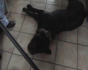 erwan se fait aspirer