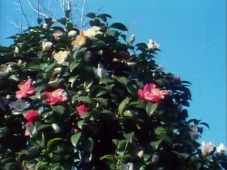 Takashi Itou -  Zone [1995]