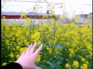 Takashi Itou -  A Silent Day [2002]