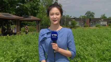 [날씨] 오늘 맑고 따뜻...내일 중부·호남 약한 비 / YTN