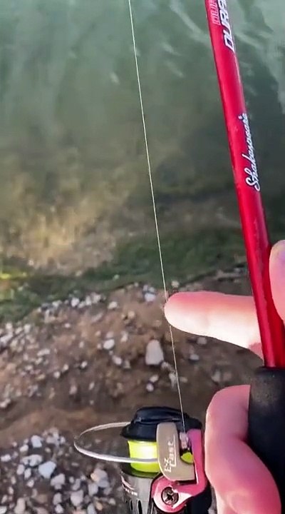 The Magic Formula to get hard fish to bite (Mimic Minnow and Crappie Nibbles)