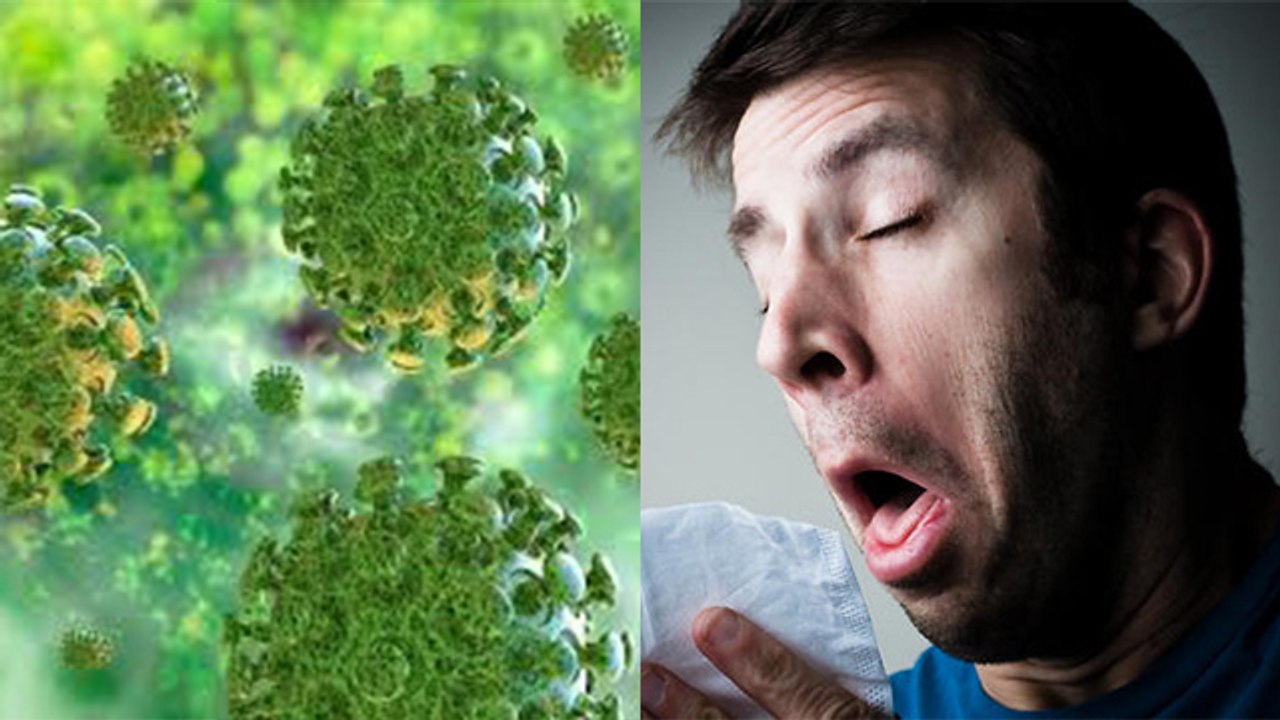 Coronavirus की दूसरी लहर मचा सकती है भारी तबाही...