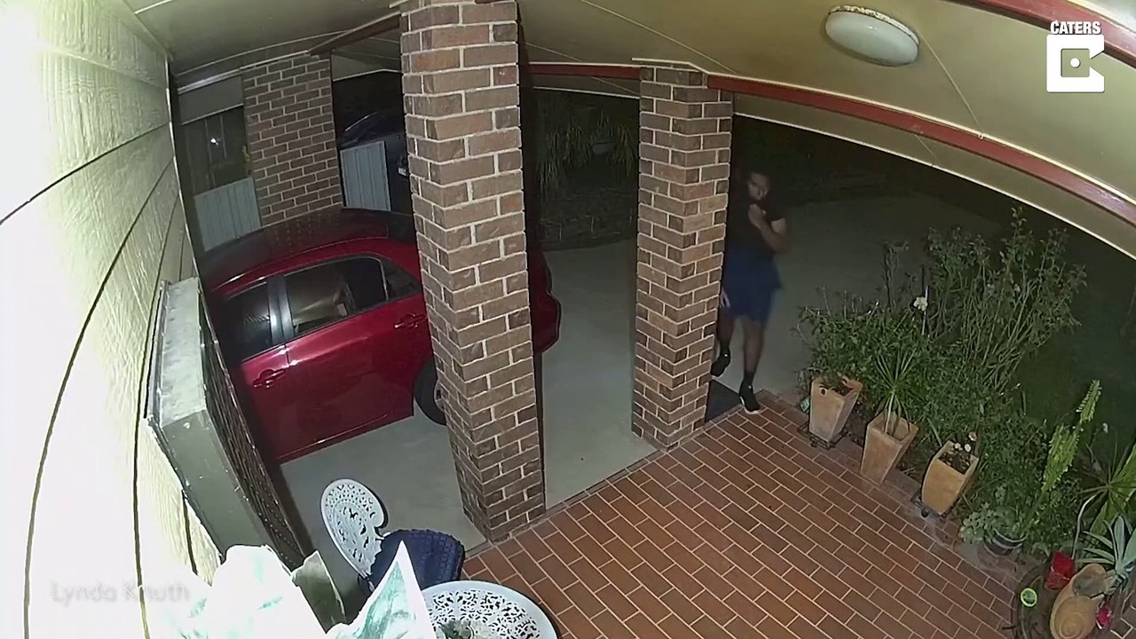 Cambrioleurs effrayés par.. un caniche !