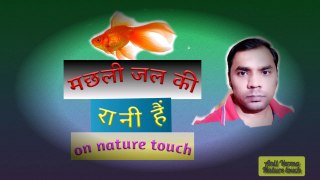 fish nature/fish nature video/fish nature documentary/nature touch/मछली जल की रानी//By Anil Verma..16.