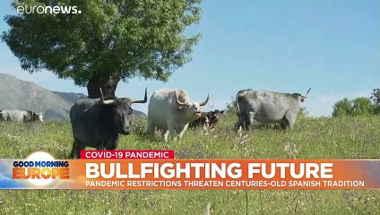 Could COVID-19 spell the demise of Spain's bullfighting tradition?