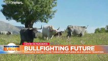 Could COVID-19 spell the demise of Spain's bullfighting tradition?