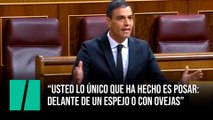 “Usted lo único que ha hecho es posar: delante de un espejo o con ovejas”