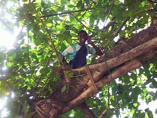 IPS SCOUTER TRAINING IN HAZARIBAGH 2