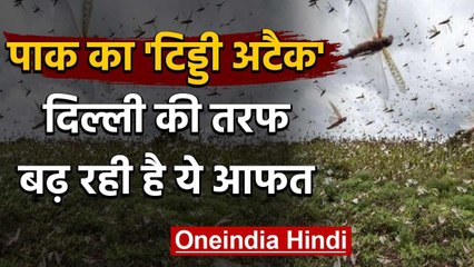 Locust attack : Corona से जंग की बीच locust का आतंक , Delhi में बड़ा खतरा | वनइंडिया हिंदी
