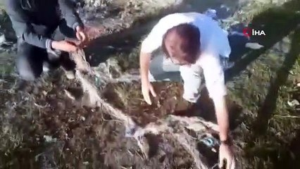 Bayramda kaçak avcılara göz açtırılmadı