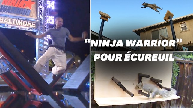 Il construit un parcours digne de Ninja Warrior pour les écureuils