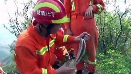 Chinese firemen rescue man trapped on cliff