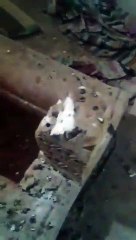 Suriye'de büyük skandal! İslam halifesi Ömer bin Abdülaziz'in naaşı çalındı