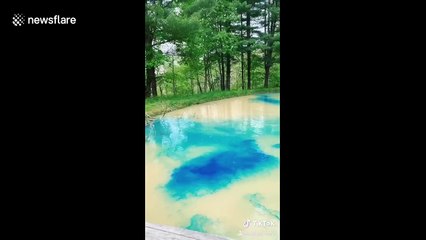 An Ohio family is blowing up on TikTok after dyeing their pond bright blue