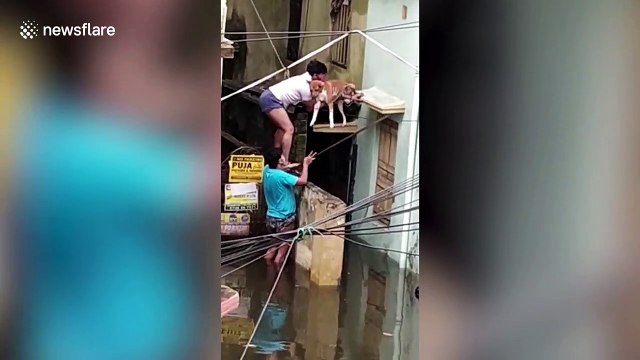 Two men rescue helpless dog trapped on building’s ledge after cyclone Amphan batters India