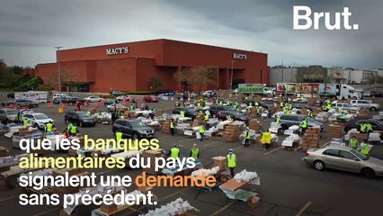 Des millions d'animaux euthanasiés dans des abattoirs américains à cause du Covid-19