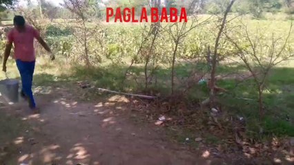 Shampoo prank comedy part 5