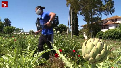 Isola Solidale: Numero Verde "Oltre il carcere" (Tg2)