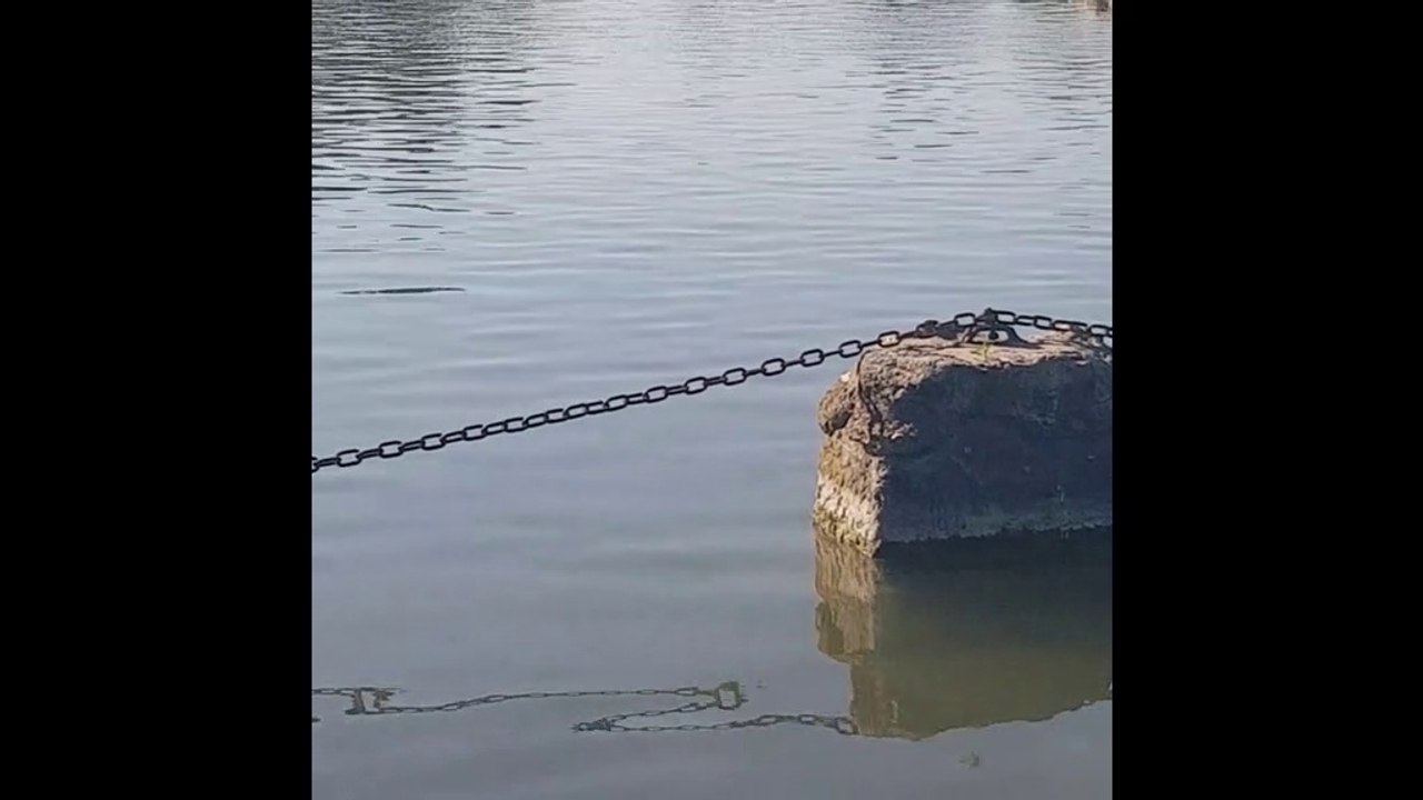 Lac de vincennes Paris 12.