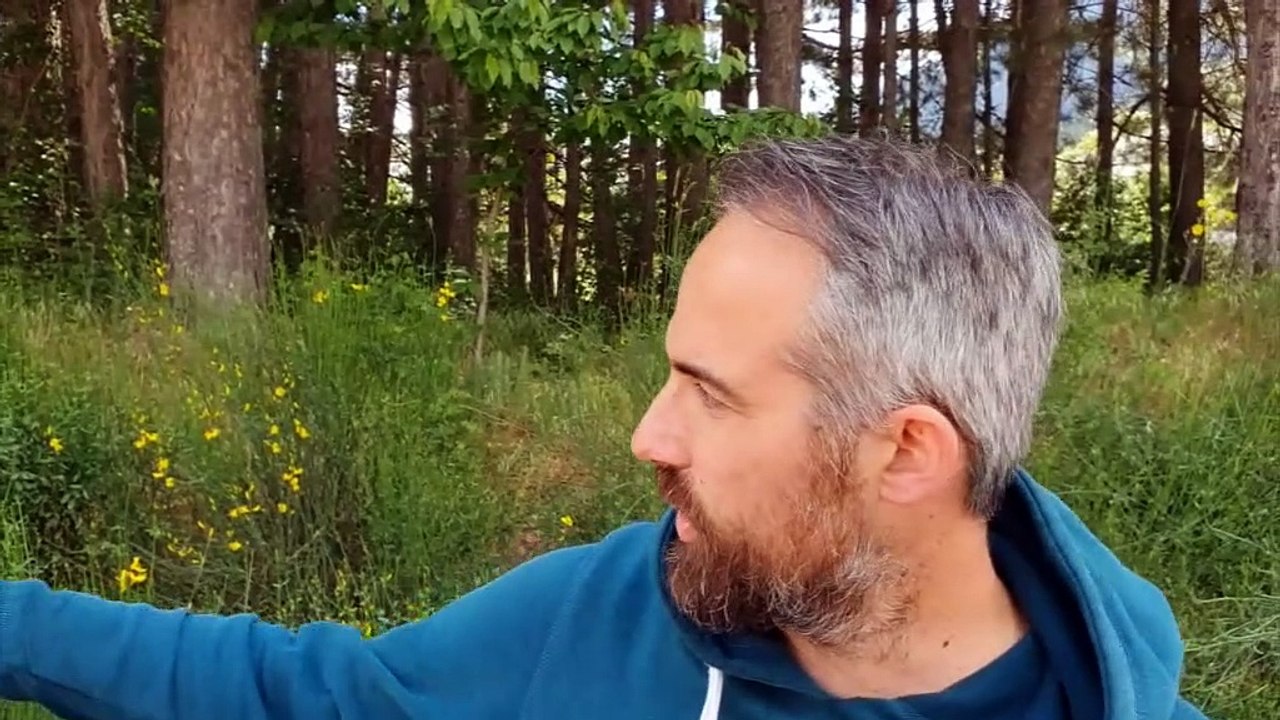 Αντιδράσεις για την κοπή δέντρων στο Αθλητικό Κέντρο Καρπενησίου  - Τι απαντά ο Δήμος για τις συγκεκριμένες παρεμβάσεις