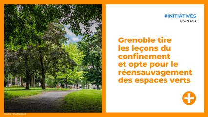 Grenoble tire les leçons du confinement et opte pour le réensauvagement des espaces verts