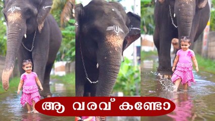 VIral video of a kid walking with an elephant | Oneindia Malayalam
