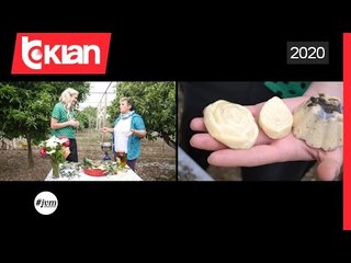 Si krijohen sapunet ne kushte shtepie