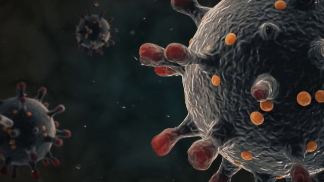 И денеска расте бројот на заболени со коронавирусот, нови 36 случаи