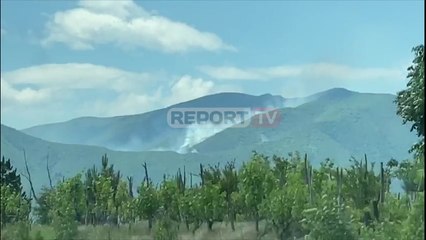 Report TV - Zjarr në pyjet e Kurbinit, flakët favorizohen nga era dhe terreni i thyer