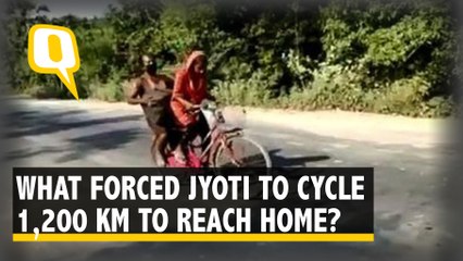 Faced With No Choice, Jyoti Travels 1,200 KM on Bicycle With Ailing Father