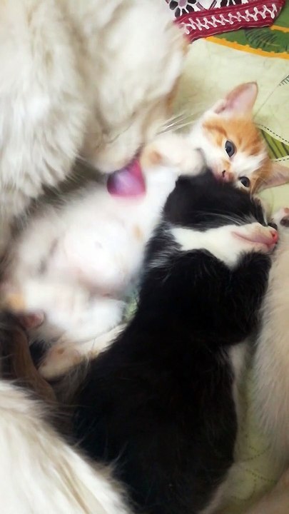 Mummy Cleans Naughty Boy Vs His Sister