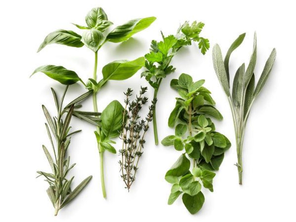 How to Store Fresh Herbs So They Last Longer