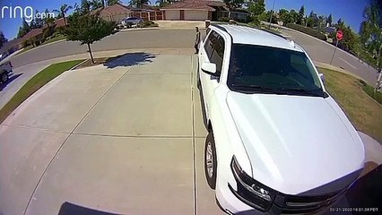 Une fillette fait fuir à un voleur