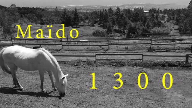 Maïdo 1300