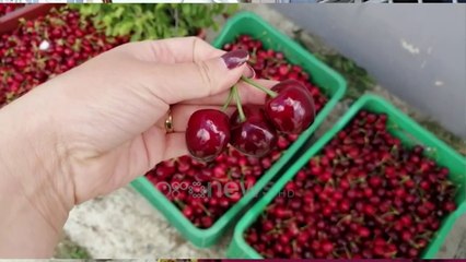 Ora News - Qershi plot por s’ka kush ti blejë