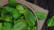 Growing Your Own Spinach Is the Quick & Easy Way to Get Salads All Summer