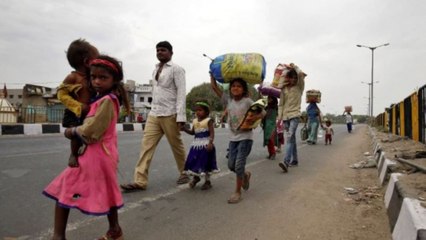 The Nowhere People: Migrant workers quarantine themselves in fields and on trees