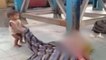 Image of the day: Baby plays with cloth covering his dead mother's body in Muzaffarpur 
