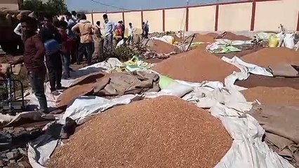 नीमच मंडी के आज के भाव