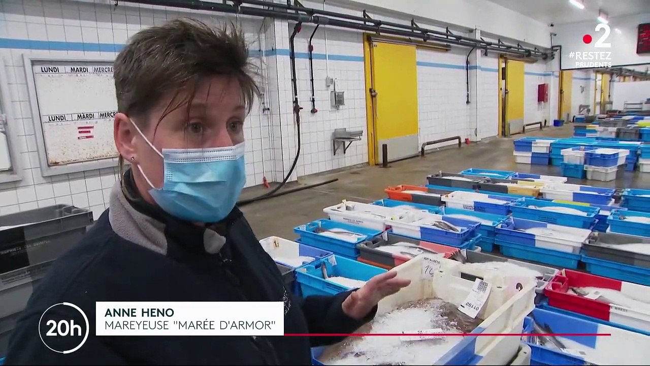 Finistère : les petits pêcheurs encaissent mieux la crise que les gros